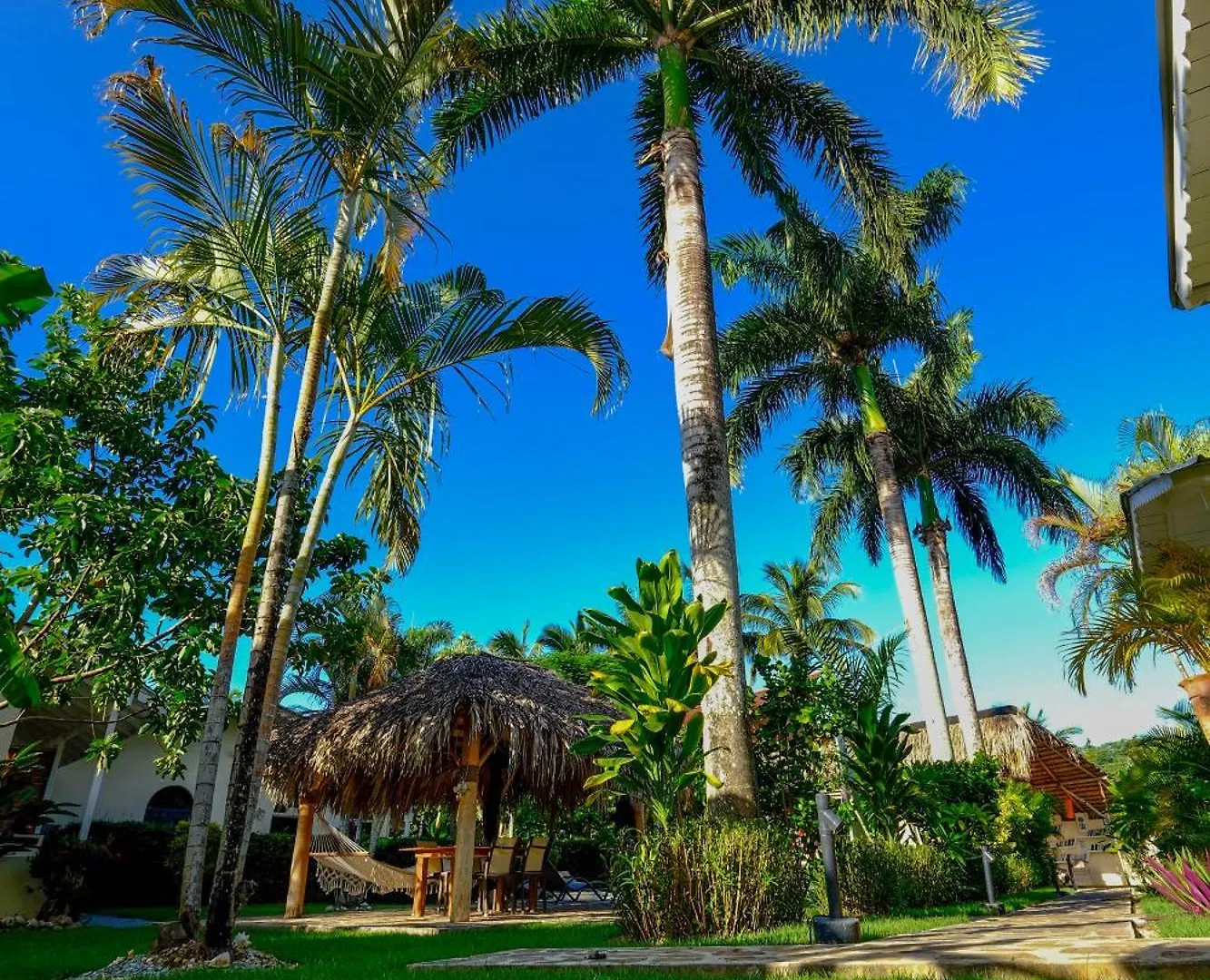 Hotel Enjoy Las Terrenas 2*,  Dominican Republic